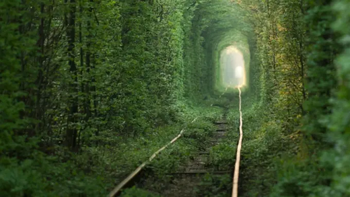 Foto: Copyright ThinkStockPhotos.com