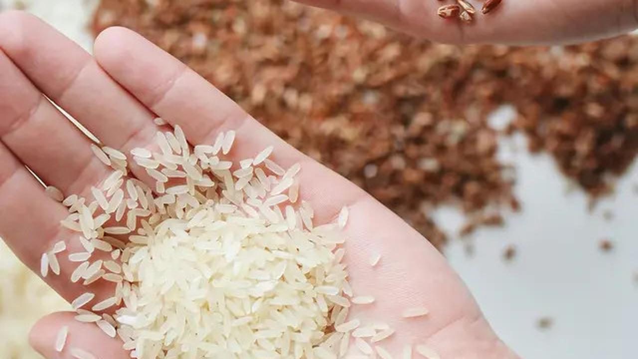 Cara Menanak Nasi dengan Bawang Putih untuk Menurunkan Kadar Kolesterol
