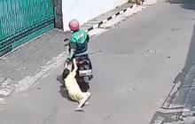 Nenek 70 Tahun Dijambret Pemotor Berjaket Ojol hingga Terseret di Aspal