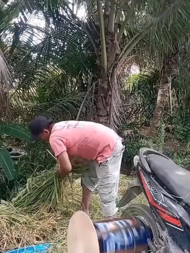 7 Potret Nyeleneh Alih Fungsi Motor, Ada yang Bajak Sawah