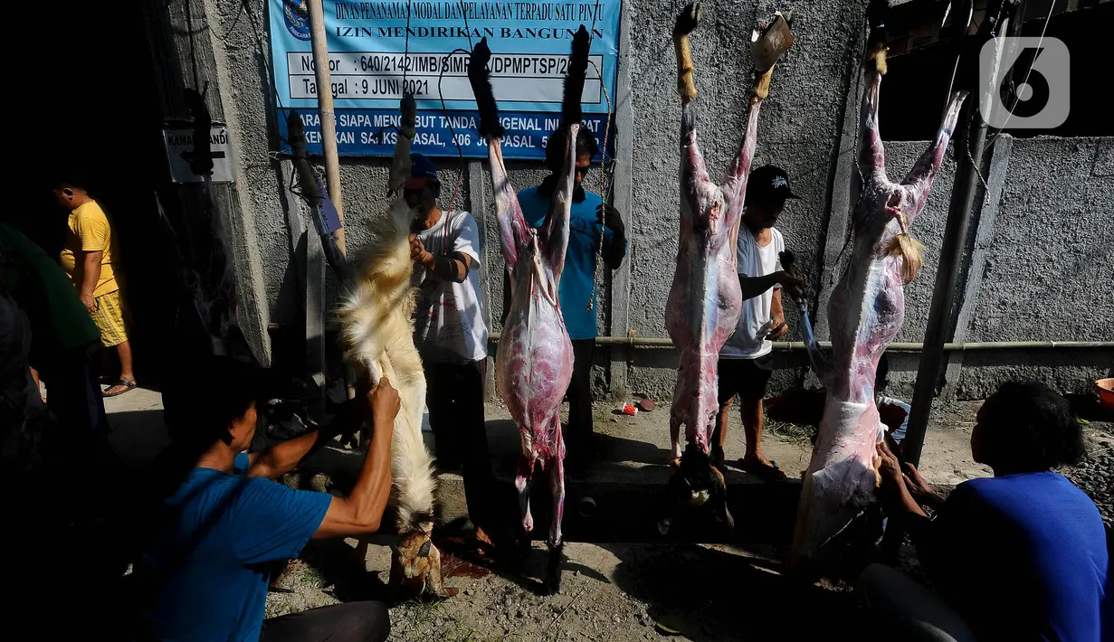 Warga menguliti hewan kurban sebelum dibagikan kepada masyarakat di Masjid Jami Al Magfiroh, Depok, Jawa Barat, Kamis (29/6/2023). (merdeka.com/Arie Basuki)