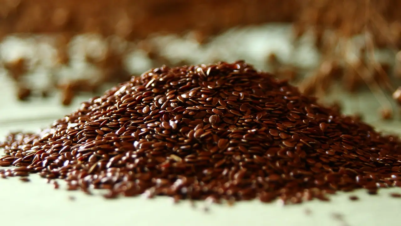 [Fimela] Flaxseed