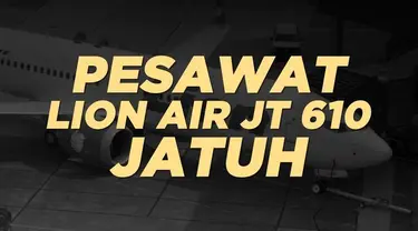 Berikut fakta dan data mengenai pesawat Lion Air JT 610 yang jatuh di perairan Karawang, Jawa Barat.