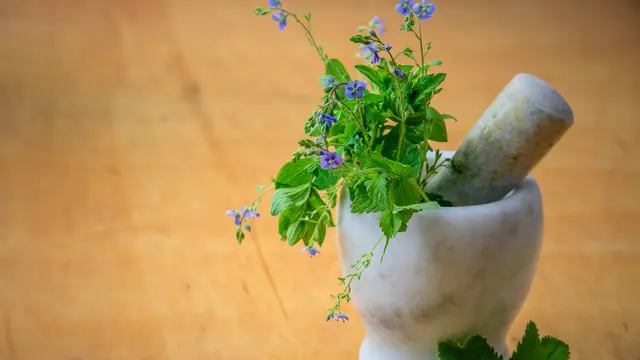 Ampuhkan Obat Herbal untuk Mengatasi Penyakit TBC Paru? Ini Penjelasan Dokter