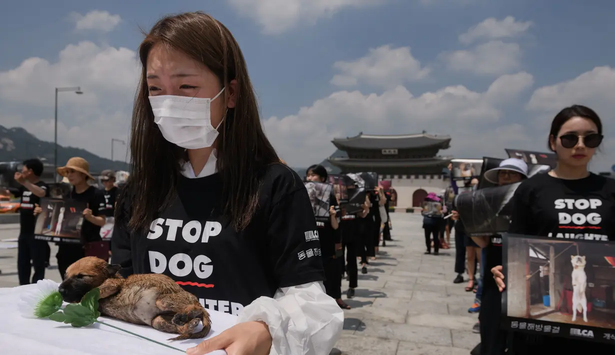 <p>Seorang aktivis dari kelompok 'Animal Liberation Wave' dan 'Last Chance for Animals' membawa anak anjing mati yang diambil dari peternakan daging anjing di Gwanghwamun Plaza, Seoul (7/7). Mereka memprotes perdagangan daging anjing. (AFP Photo/Ed Jones)</p>