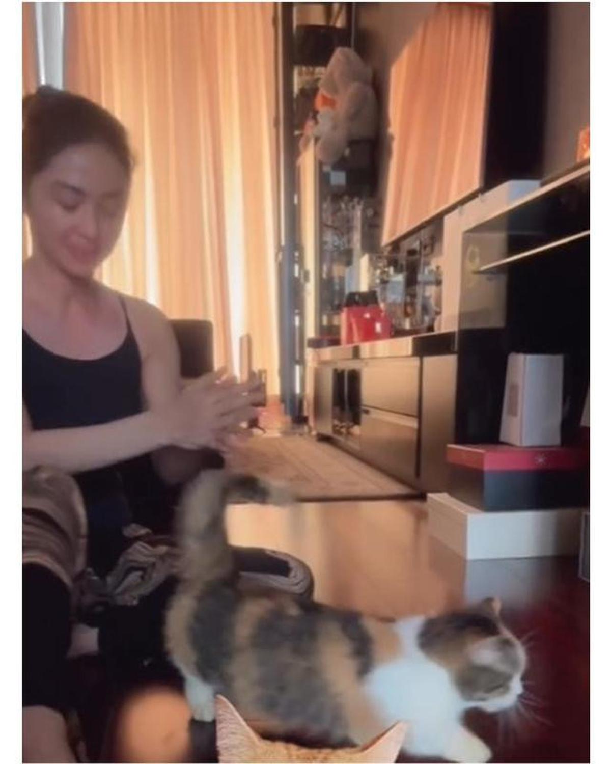 6 Potret Dewi Perssik Rawat Kucing Eko Patrio yang Selamat Pasca Penjarahan Rumah
