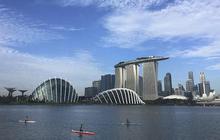 Terjangkit Hantavirus di Kapal Pesiar, 2 WN Singapura Diisolasi