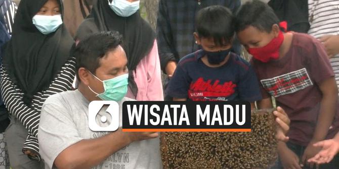 VIDEO: Wisata Edukasi Gratis di Kampung Lebah