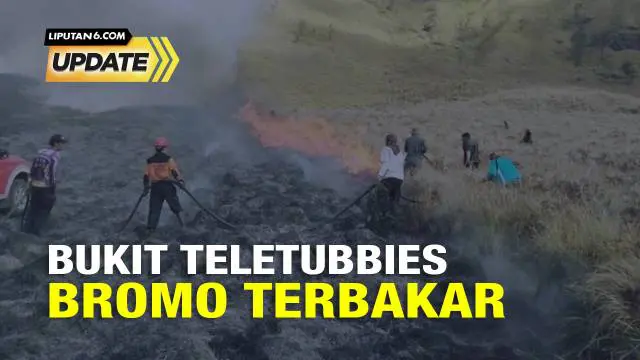 Bukit Teletubies yang berada di kawasan Gunung Bromo terbakar. Kebakaran Bukit Teletubies itu diduga dari api flare yang sedang dinyalakan oleh pengunjung dan mengenai dahan kering.