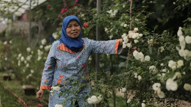 tri mumpuni