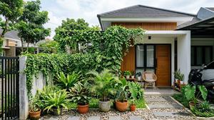 9 Cara Membuat Tanaman Rambat Cepat Rimbun, Pertumbuhannya Lebih Optimal
