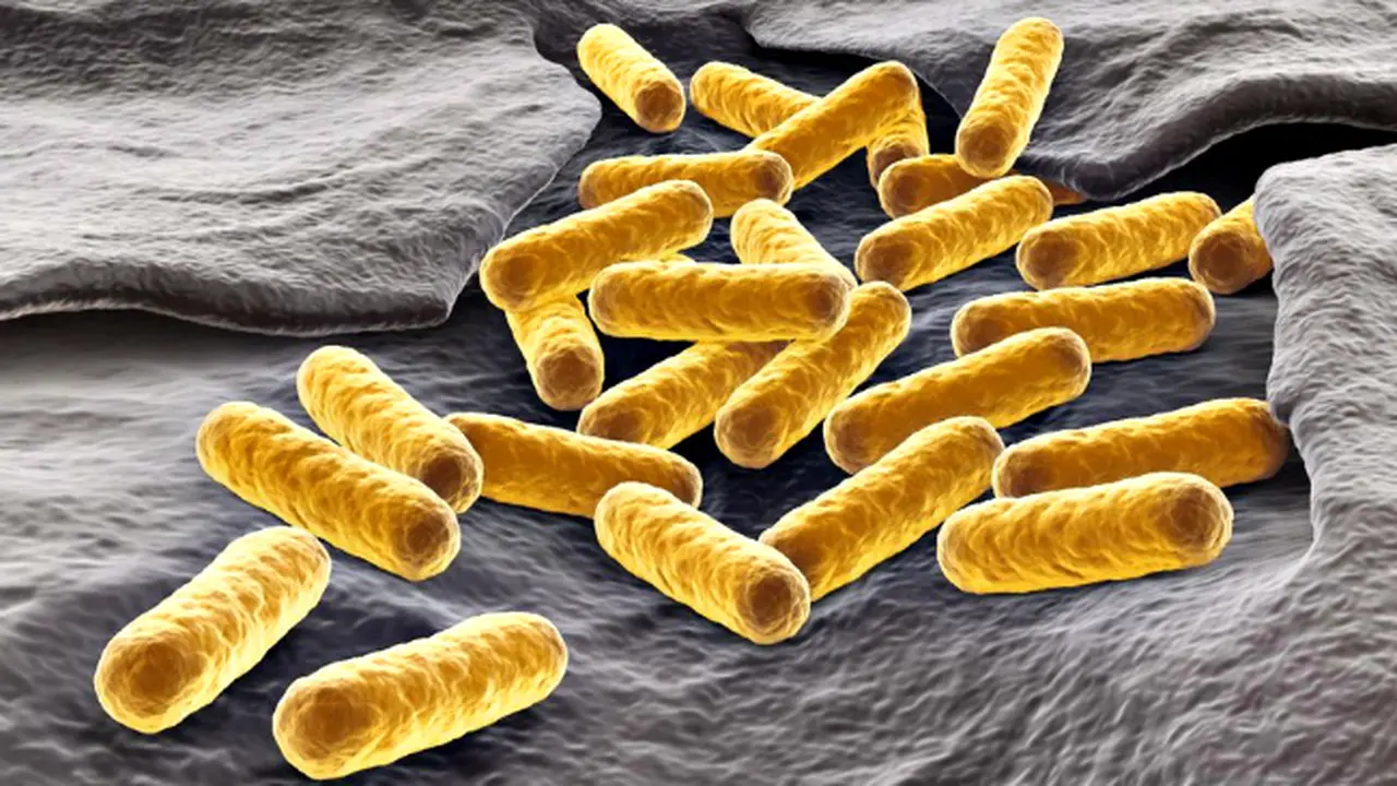 Cara Baru Melawan Bakteri Kebal Antibiotik