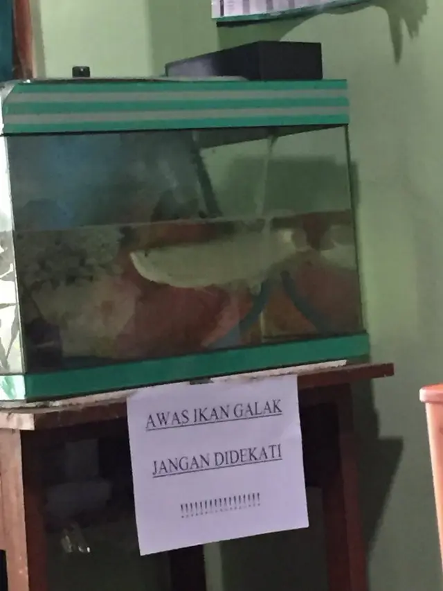6 Tulisan Absurd 'Awas Galak' Ini Bikin Geleng Kepala