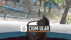 cium ular