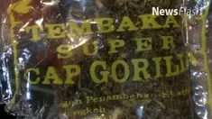 Badan Narkotika Nasional (BNN) menggolongkan tembakau gorila sebagai New Psychoactive Substances (NPS). Sebuah narkotika jenis baru yang memiliki efek halusinasi membahayakan.
