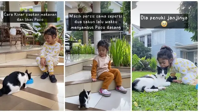 2 Tahun Rawat Kucing Jalanan dengan Tulus, Cerita Gadis Kecil Ini Bikin Salut