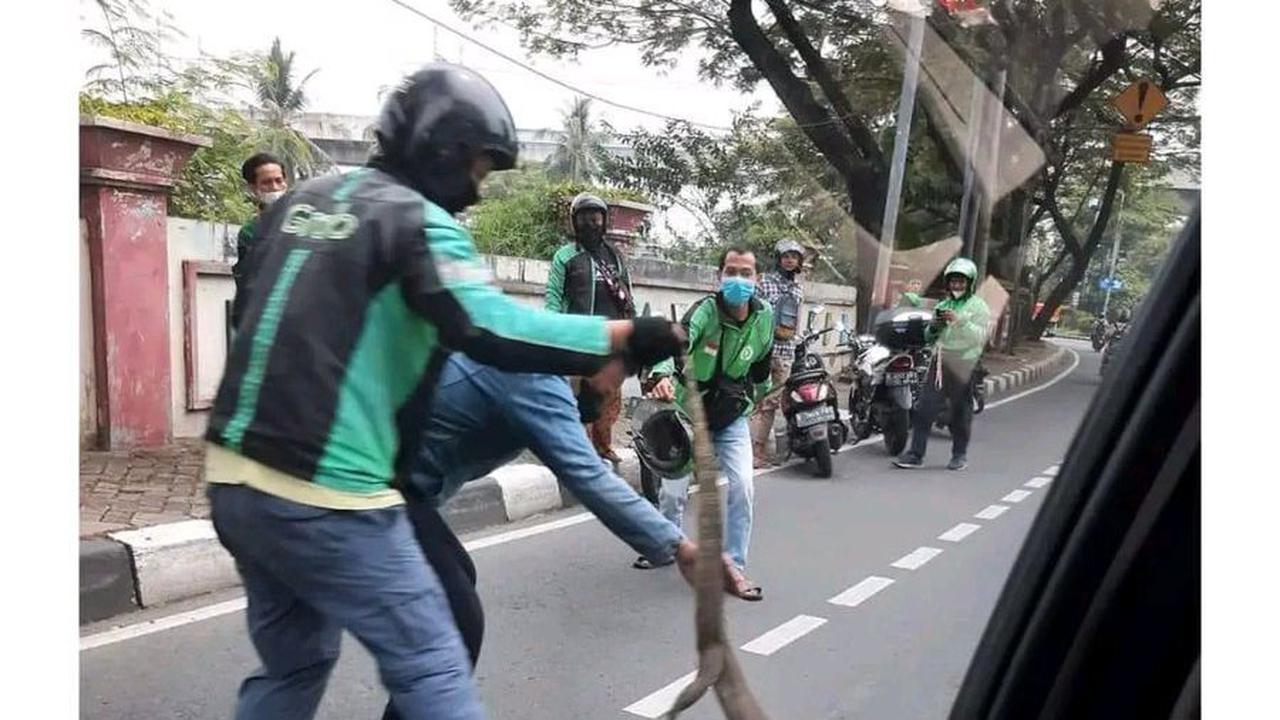 Go Pawang Saat Abang Go-Jek Menjinakan Binatang Melata