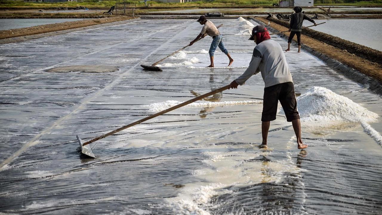 FOTO: Produksi Garam Rakyat Digenjot Kurangi Ketergantungan Impor