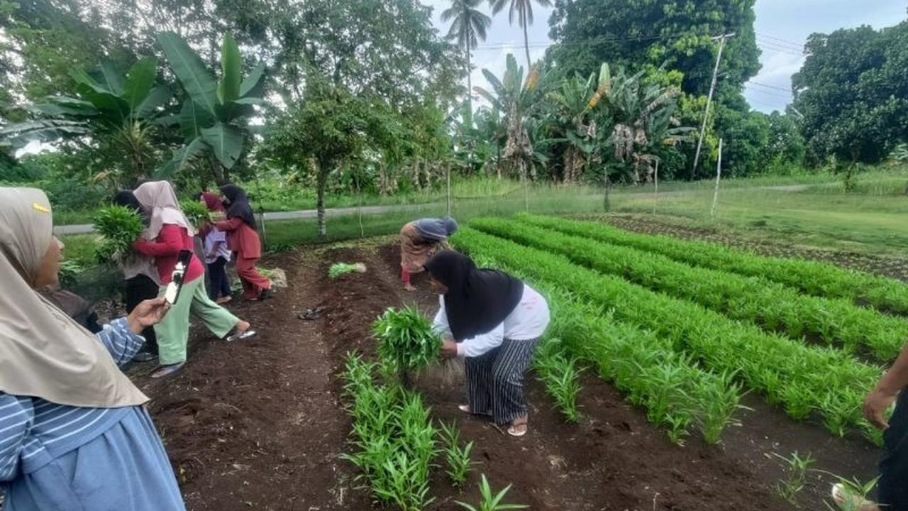Peran Krusial Perempuan dan Pangan: Fondasi Ketahanan Nasional