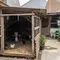 7 Kesalahan Menata Kandang Ayam yang Membuat Halaman Cepat Bau, Wajib Hindari