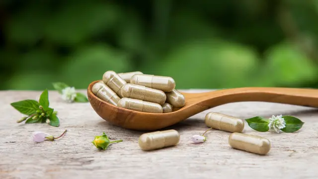 Berbahan Dasar Daun Pepaya, Obat Herbal DBD Ini Bisa Tingkatkan Jumlah Trombosit!