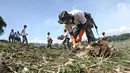 Personel TNI AL mengumpulkan sampah di sungai Citarum, Desa Warung Pulus, Bandung Barat, Jawa Barat, Minggu (17/12). Memperingati HUT TNI AL ke 72, melaksanakan operasi bakti TNI AL dengan menggelar acara "Bebersih Citarum". (Liputan6.com/Herman Zakharia)