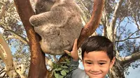 Rafathar Malik Ahmad sedang bersama koala di Australia (Dok.Instagram/@raffinagita1717/https://www.instagram.com/p/Byg7NgAhB-e/Komarudin)
