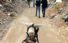 APJII Serahkan Donasi Kemanusiaan Bagi Rakyat Palestina