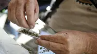 Warga membuat ganja kering di dalam kertas saat acara 'Weed the People' merayakan legalisasi penggunaan ganja di Portland, Oregon (3/7/2015). Pemerintah Oregon telah melegalkan penggunaan ganja Pada 1 Juli lalu. (REUTERS/Steve DiPaola)