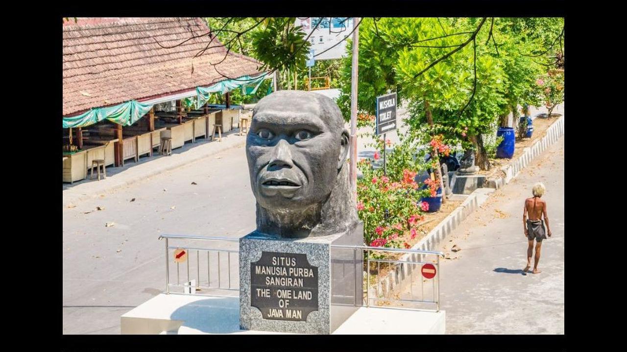 10 Fakta Situs Manusia Purba Sangiran, Sumber Ilmu Arkeologi Terpenting Kepunyaan Indonesia