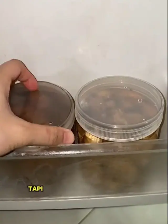 Tanpa Disimpan di Freezer, Ini Cara Simpan Jahe dan Kunyit Agar Tetap Awet Hingga 1 Bulan