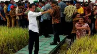 Jokowi (Liputan6.com/Herman Zakharia)