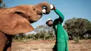 Seorang penjaga memberi susu bayi gajah  yatim piatu di panti asuhan gajah David Sheldrick Wildlife Trust (DSWT) di Nairobi, Kenya pada 12 Maret 2019. Panti itu membesarkan gajah piatu sampai mereka  tidak lagi bergantung pada susu. (Yasuyoshi CHIBA/AFP)