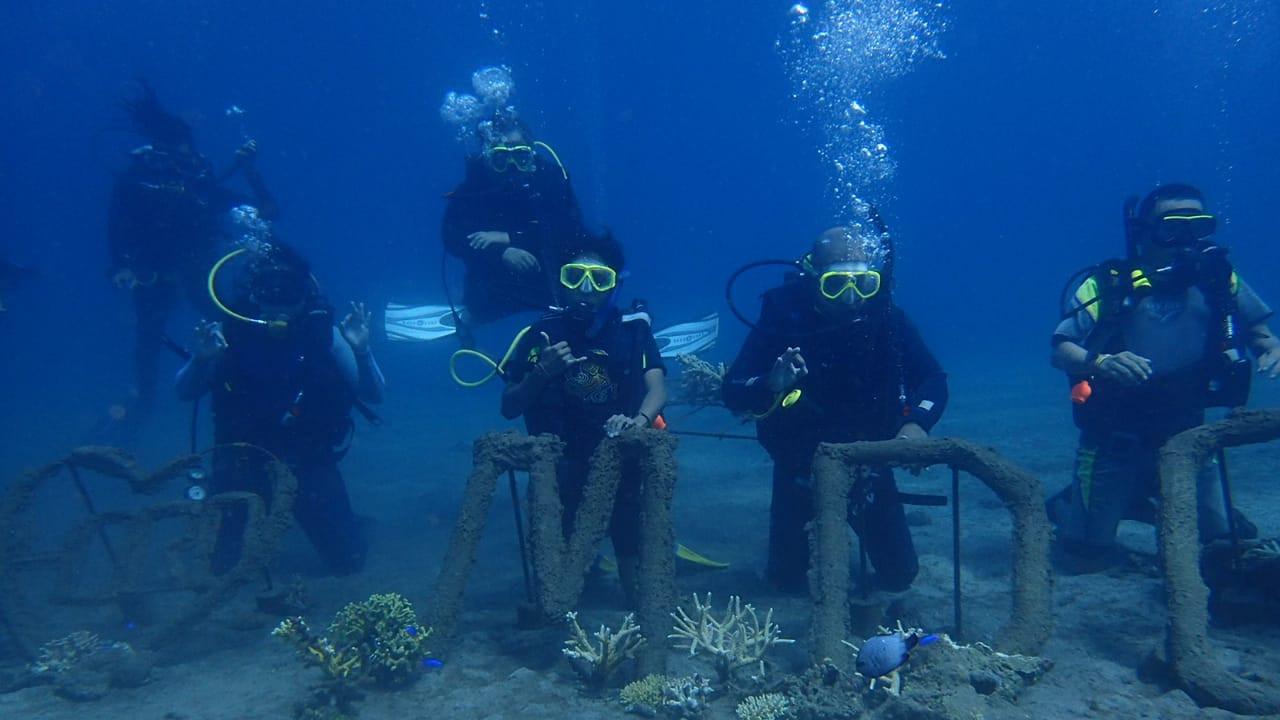 Maumere Diver Community (MDC) melakukan transplantasi karang untuk ditempatkan di dasar laut di Pantai Waiara, Desa Waiara, Kecamatan Kewapante, Kabupaten Sikka, NTT