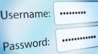 Ilustrasi password