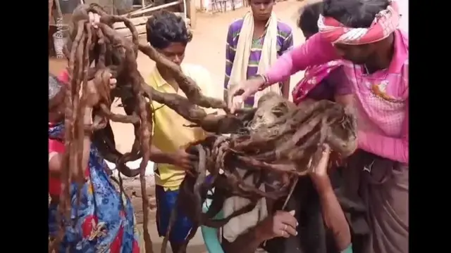 Rambut panjang