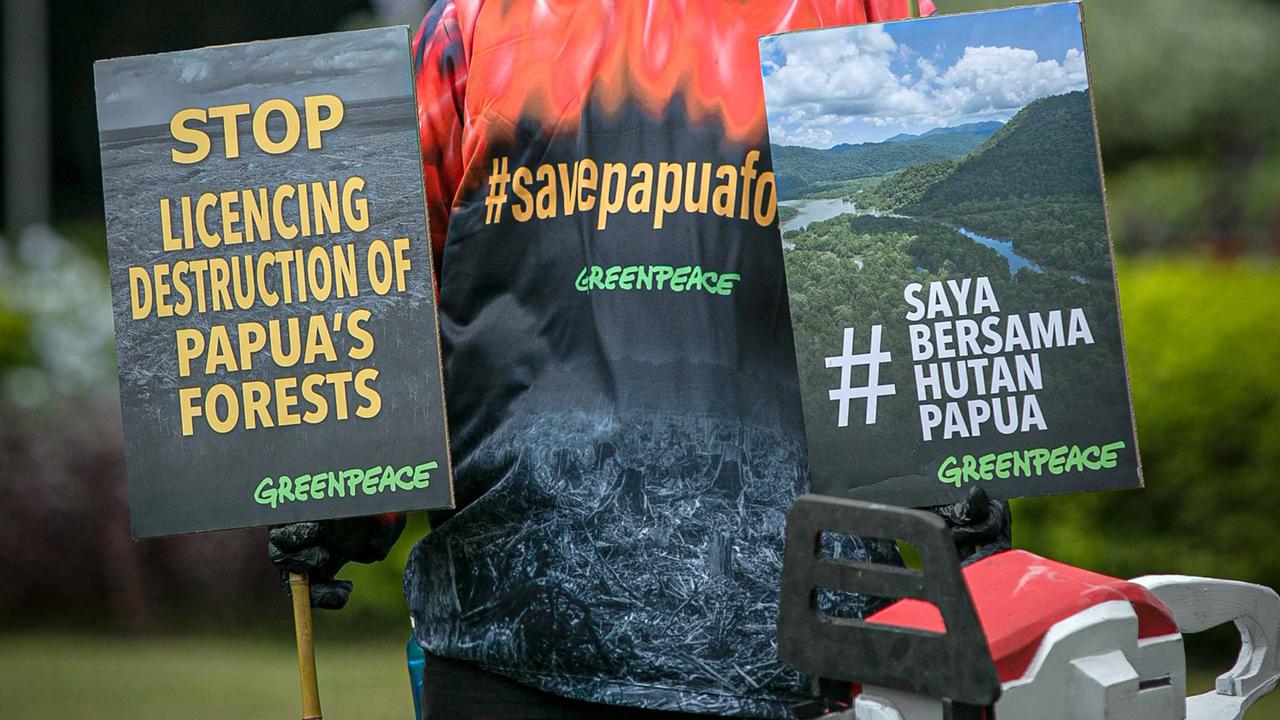 Aksi Greenpeace Tolak Perusakan Hutan Papua