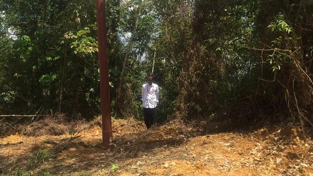 Presiden Joko Widodo atau Jokowi mengecek kelaikan Kalimantan Tengah (Kalteng) sebagai ibu kota. (Liputan6.com/Lizsa Egeham)