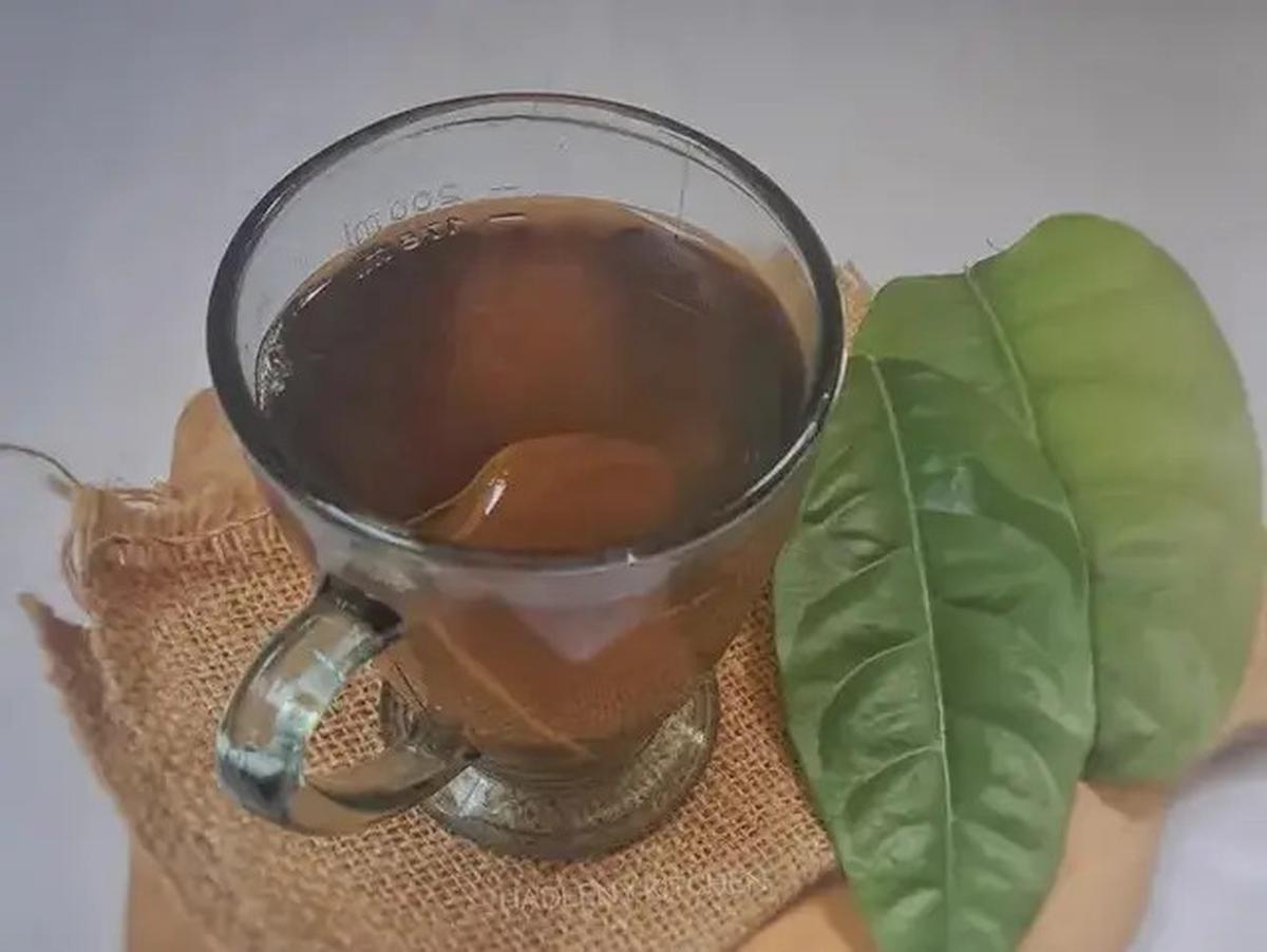 Cara Membuat Minuman Daun Salam, Temukan Khasiatnya di Setiap Resep