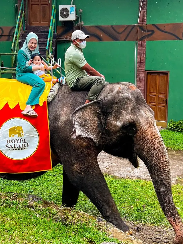 Seru main Bareng Binatang, Ini 7 Potret Nathalie Holscher dan Baby Adzam saat Liburan