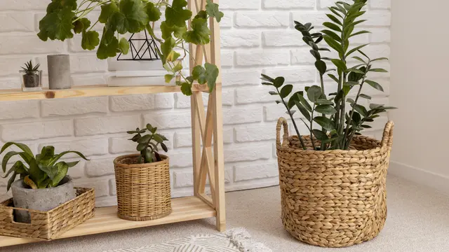 5 Inspirasi Kado Ulang Tahun yang Bikin Zodiak Cancer Terharu - 4