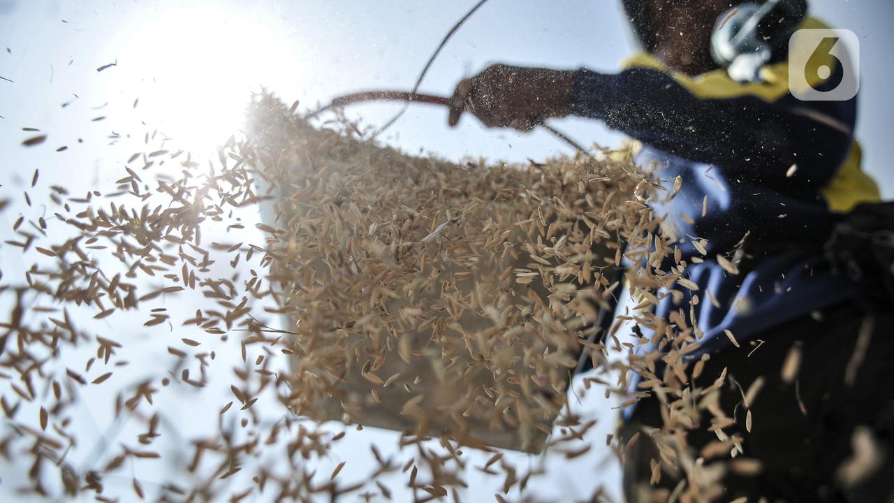 Stok Beras Nasional di Tengah Pandemi