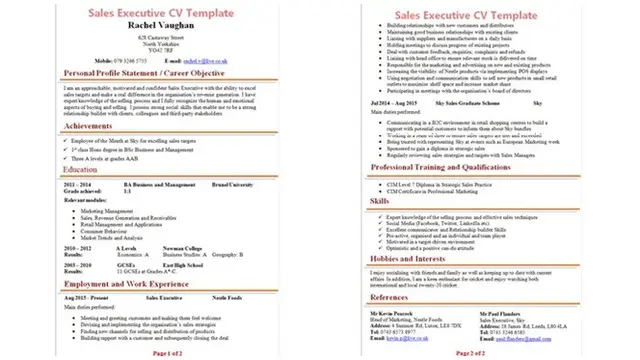 Contoh CV