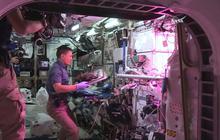 Mengintip astronot makan sayuran hasil tanam di luar angkasa