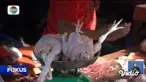 Fokus edisi (09/03) mengangkat beberapa topik pilihan sebagai berikut, Banjir Putus Jembatan, Warga Terisolir, Harga Daging Ayam Kian Melesat, Libur Panjang, Stasiun Senen Dipadati Penumpang.