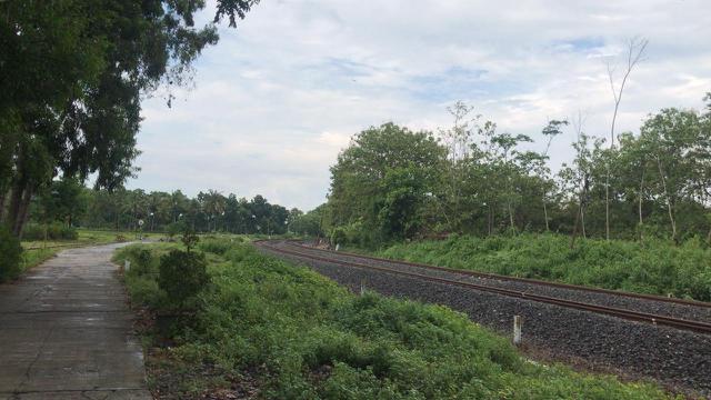 Sanoen Pahlawan Lokal Kulonprogo