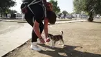 Kisah ini merupakan sebuah cerita penuh harapan dan kasih sayang, mengingat banyak peristiwa gelap dan tragis yang muncul dari krisis pengungsi Suriah.