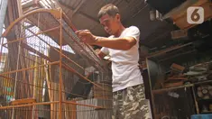 Perajin membuat sangkar burung di YR Sangkar, Cimanggis, Depok, Jawa Barat, Rabu (17/3/2021). Perajin mengkatakan produksi sangkar burung yang dijual Rp 150 ribu hingga Rp 500 ribu per sangkar alami peningkatan penjualan 50 persen selama pandemi COVID-19. (Liputan6.com/Herman Zakharia)