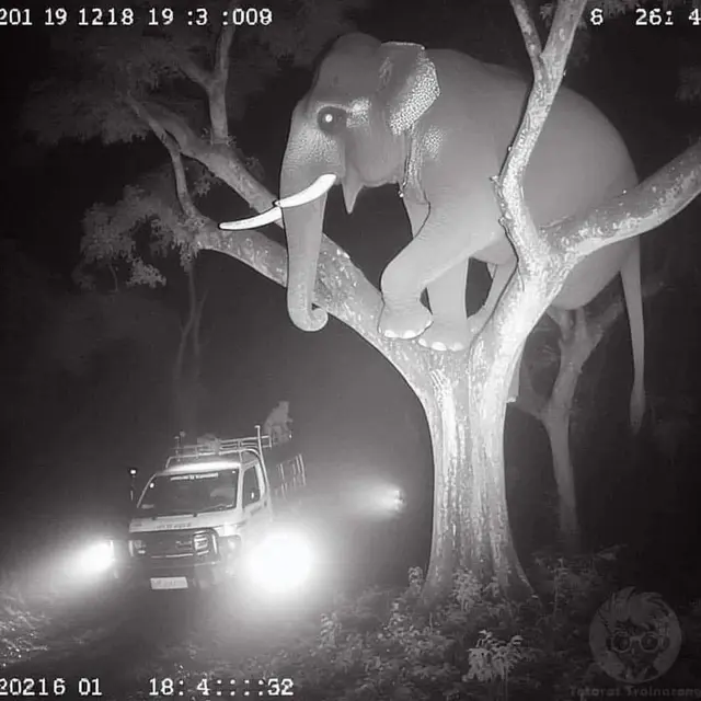 6 Potret Penampakan Terekam CCTV di Malam Hari Ini Bikin Dahi Berkerut