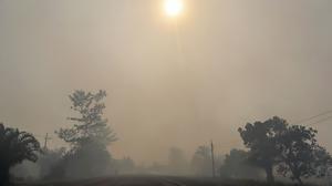 Kabut Asap Pekat di Ambon, Belasan Penerbangan Dibatalkan